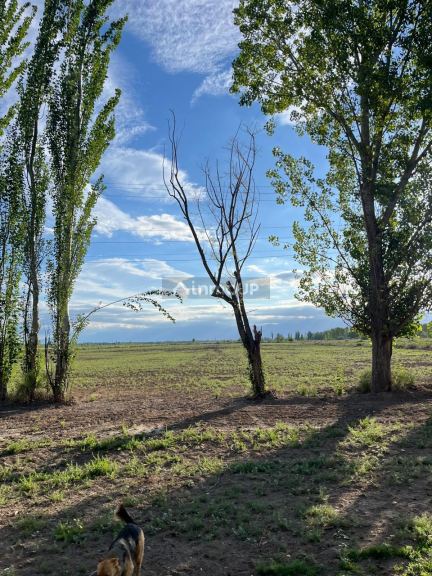 Lote en Venta en Tunuyan, Mendoza