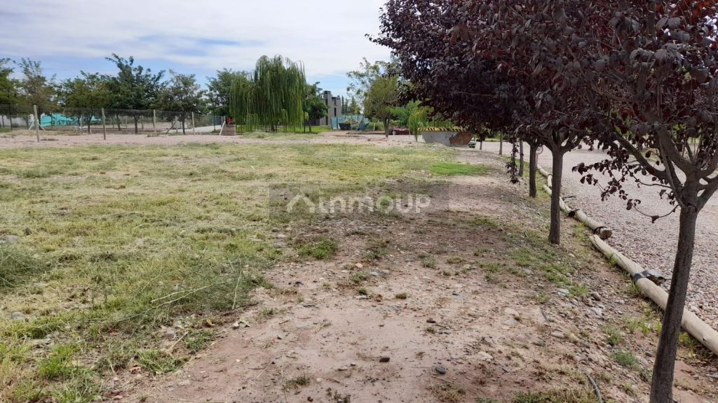 Lote en Venta en Lujan de Cuyo, Mendoza