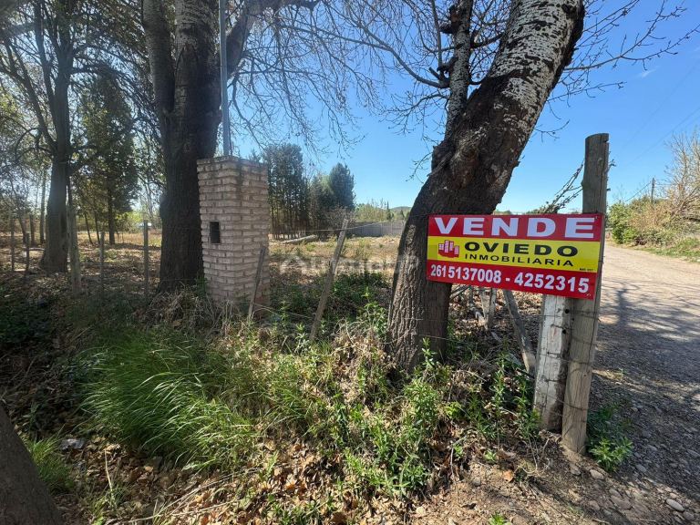 Lote en Venta en Lujan de Cuyo, Mendoza