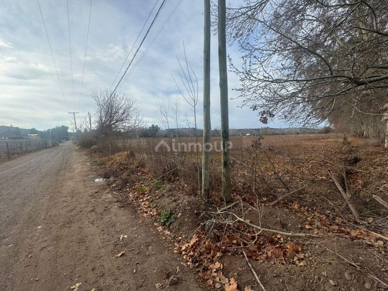 Lote en Venta en Lujan de Cuyo, Mendoza