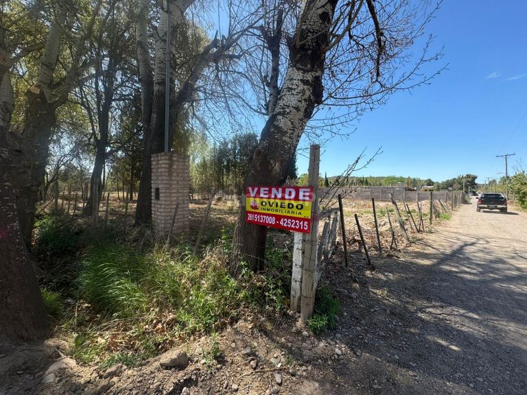 Lote en Venta en Lujan de Cuyo, Mendoza