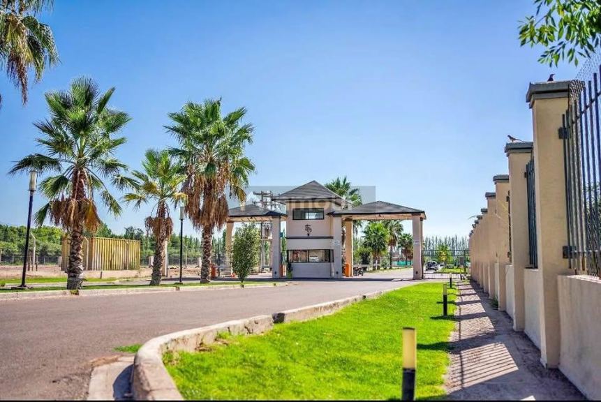 Lote en Venta en Lujan de Cuyo, Mendoza