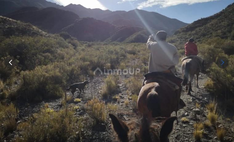 Campo en Venta en Las Heras, Mendoza