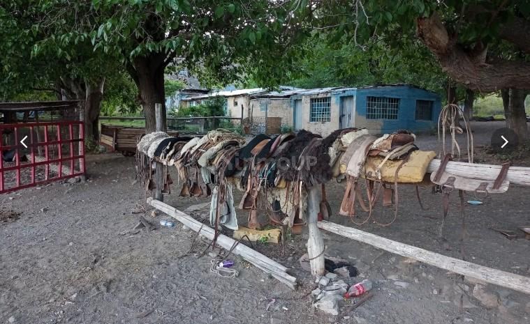 Campo en Venta en Las Heras, Mendoza