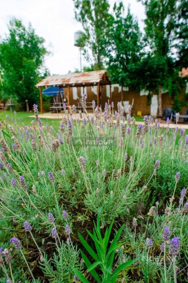 Casa en Venta en Colon, Entre Rios