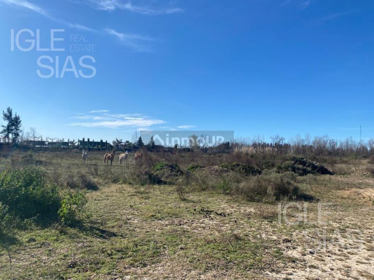 Terreno en Venta en Tigre, G.B.A. Zona Norte