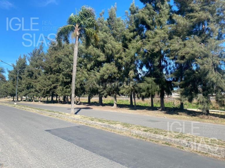 Terreno en Venta en Tigre, G.B.A. Zona Norte