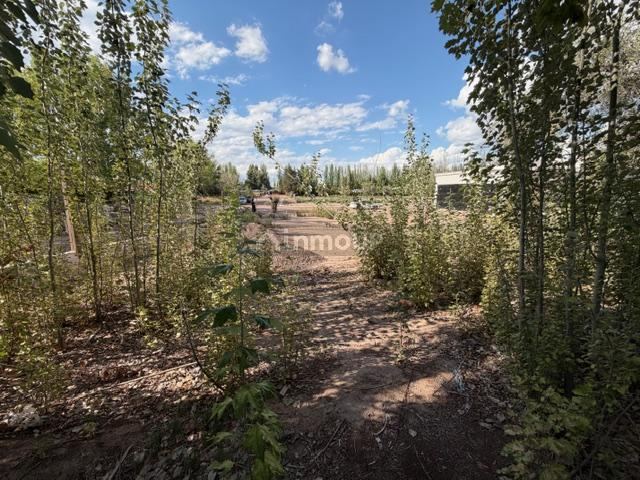 Lote en Venta en Lujan de Cuyo, Mendoza