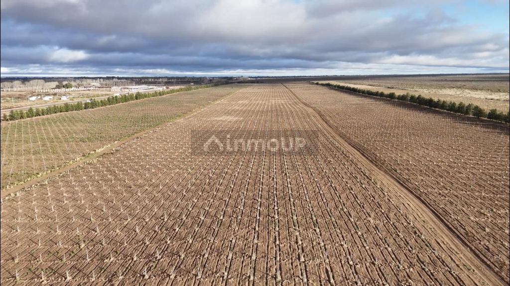 Santa Rosa Ruta 7 y calle Escudero