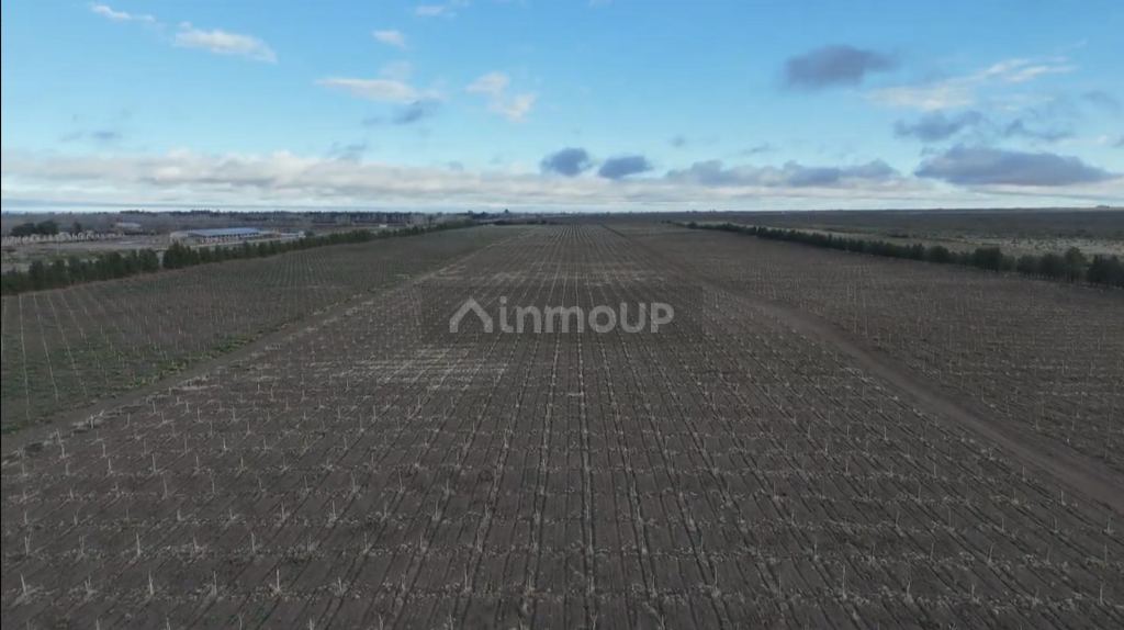 Finca en Venta en Santa Rosa, Mendoza