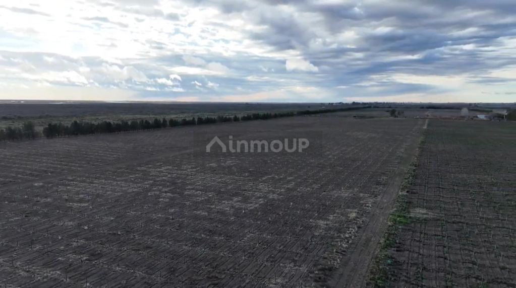 Finca en Venta en Santa Rosa, Mendoza