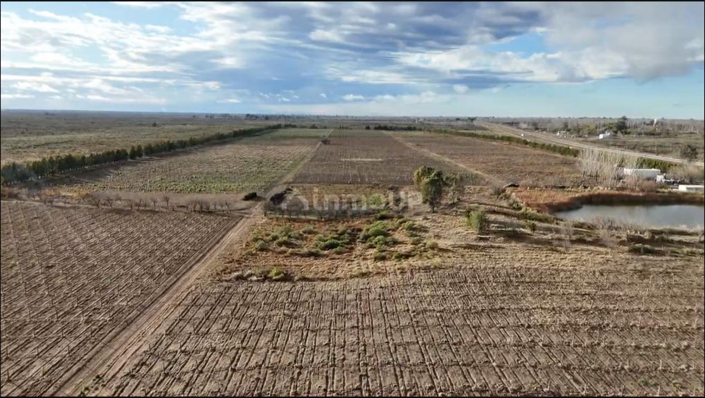 Finca en Venta en Santa Rosa, Mendoza