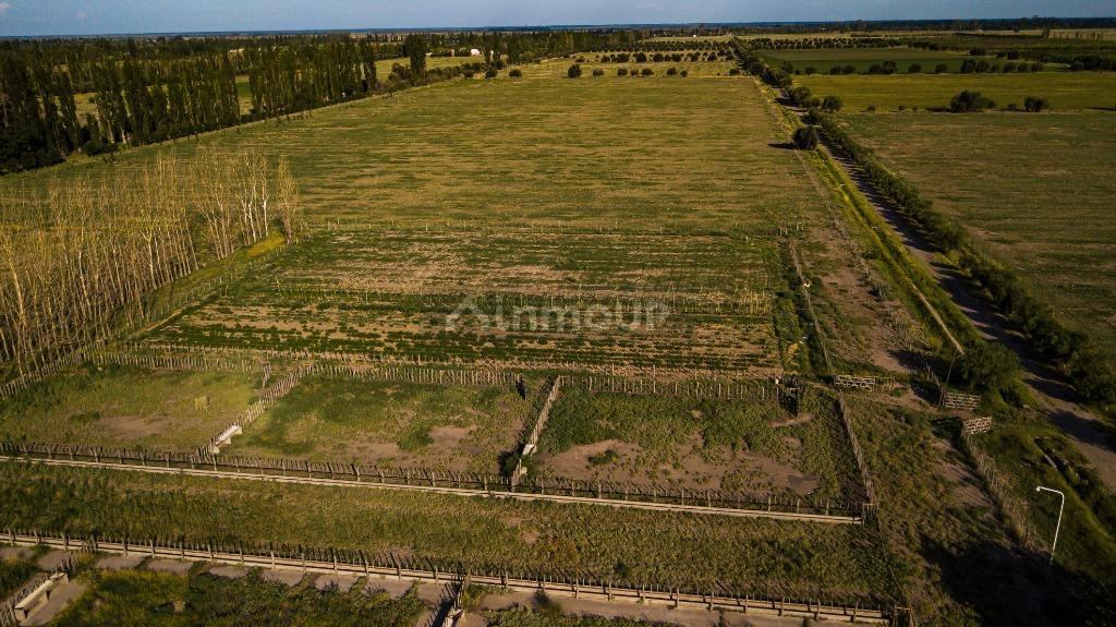 Finca en Venta en San Rafael, Mendoza