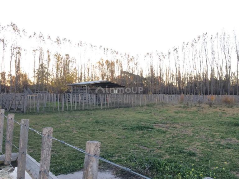 Finca en Venta en San Rafael, Mendoza