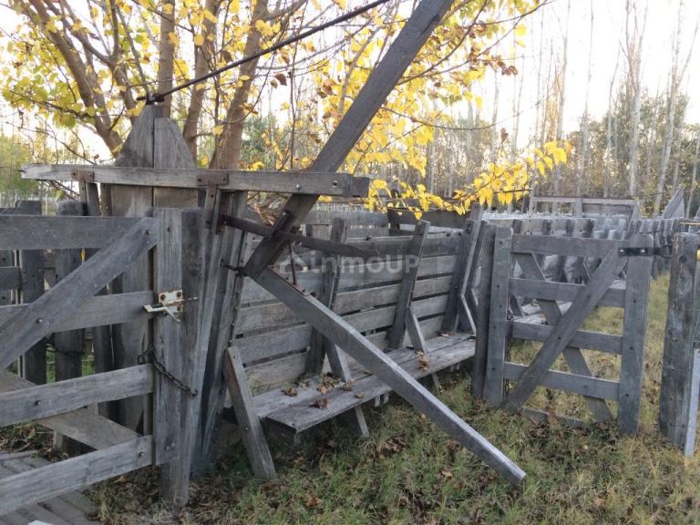 Finca en Venta en San Rafael, Mendoza