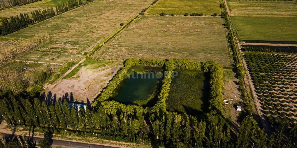 Finca en Venta en San Rafael, Mendoza