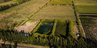 San Rafael  Luis Tirasso 5351, Mendoza, Argentina