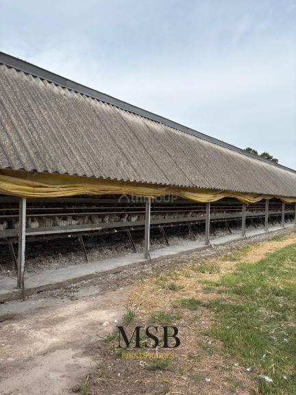 Campo en Venta en Exaltacion de la Cruz, G.B.A. Zona Norte