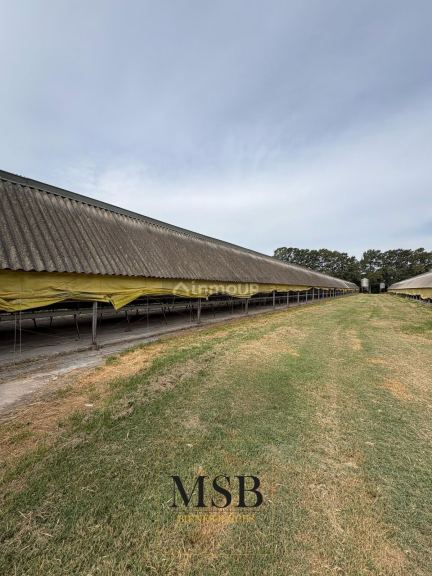 Campo en Venta en Exaltacion de la Cruz, G.B.A. Zona Norte