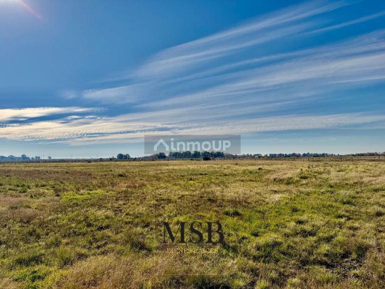 Terreno en Venta en Ensenada, G.B.A. Zona Sur
