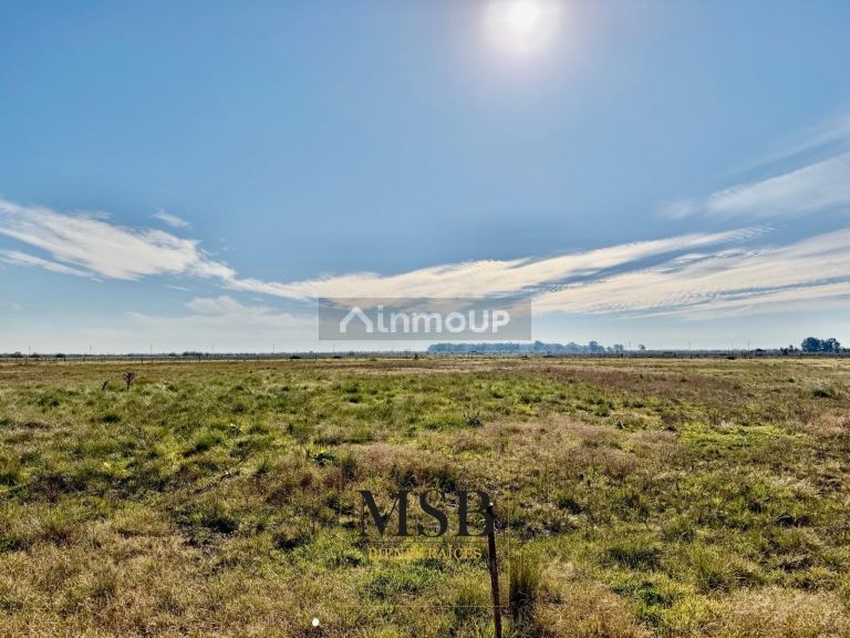 Terreno en Venta en Ensenada, G.B.A. Zona Sur