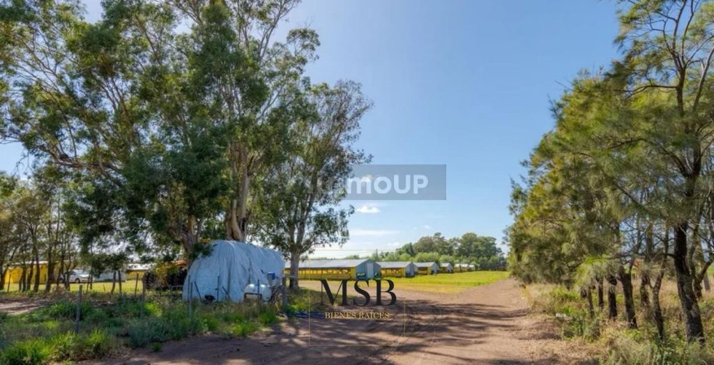 Campo en Venta en 25 de Mayo, Buenos Aires Interior
