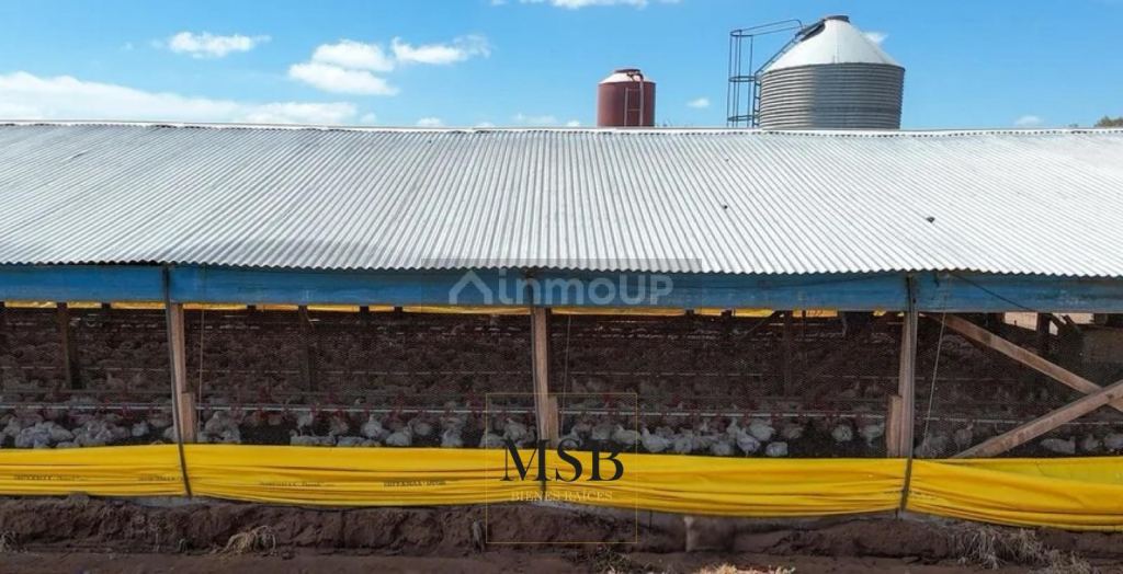Campo en Venta en 25 de Mayo, Buenos Aires Interior