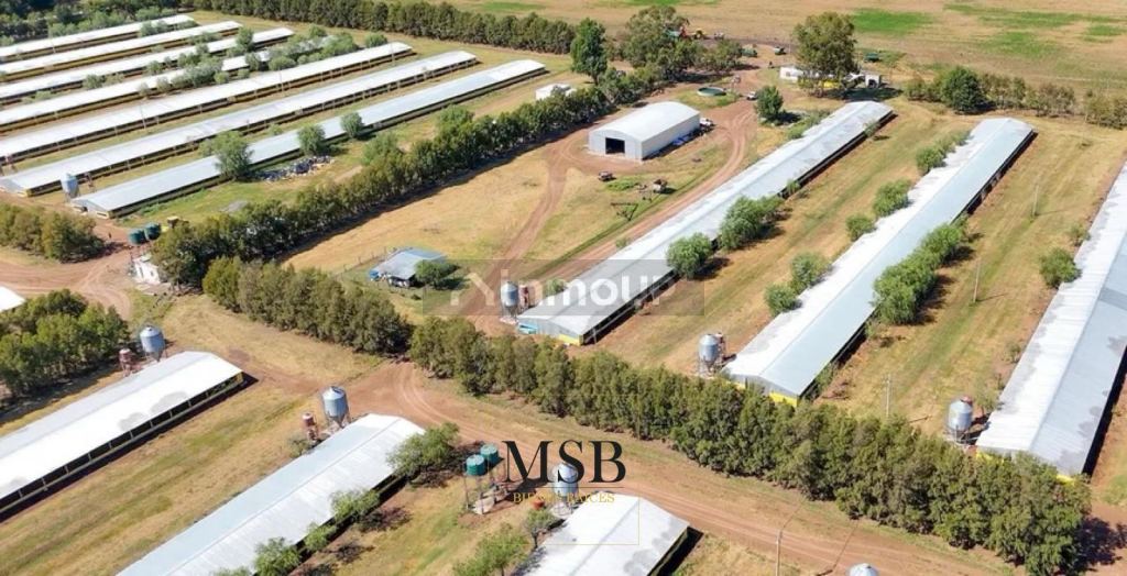 Campo en Venta en 25 de Mayo, Buenos Aires Interior