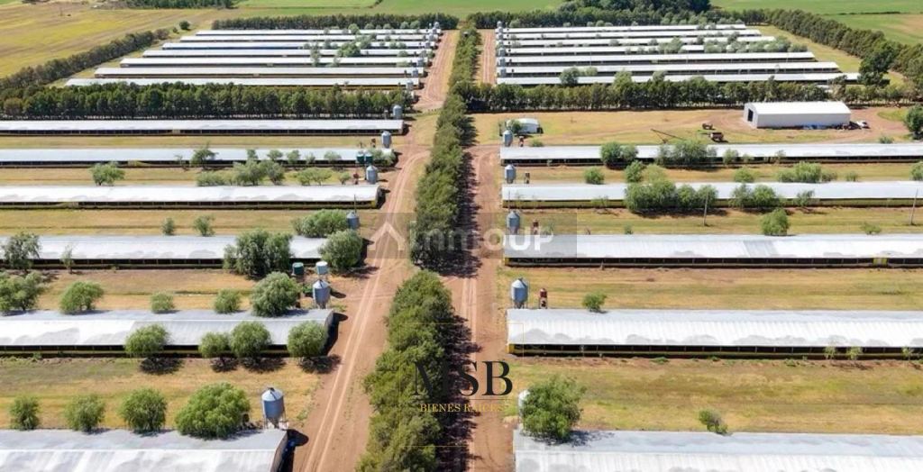 Campo en Venta en 25 de Mayo, Buenos Aires Interior