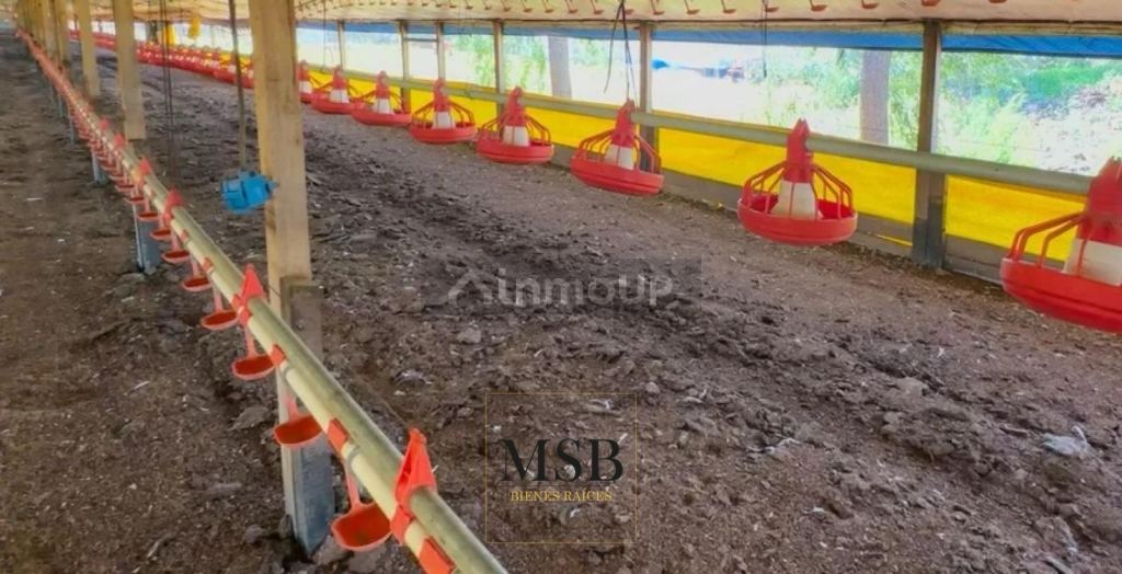 Campo en Venta en 25 de Mayo, Buenos Aires Interior