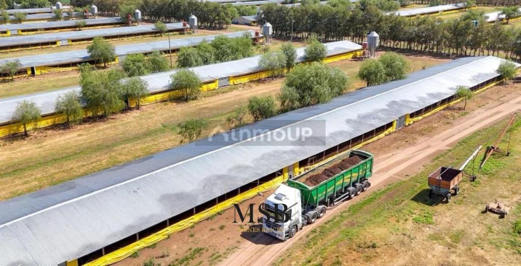Campo en Venta en 25 de Mayo, Buenos Aires Interior