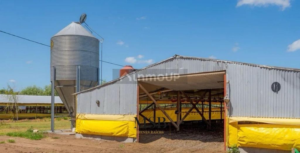 Campo en Venta en 25 de Mayo, Buenos Aires Interior