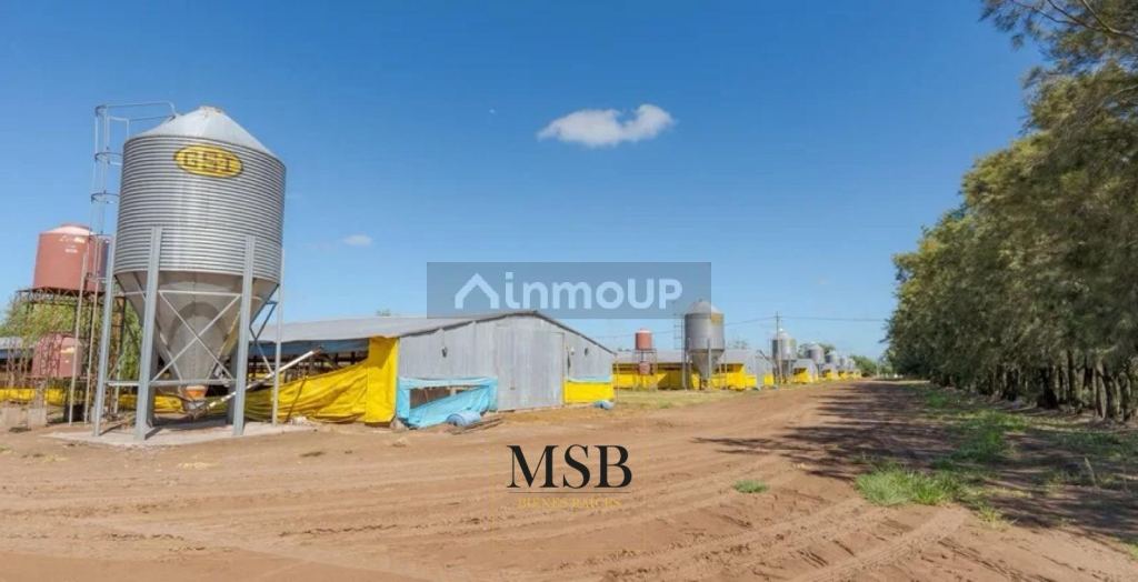 Campo en Venta en 25 de Mayo, Buenos Aires Interior