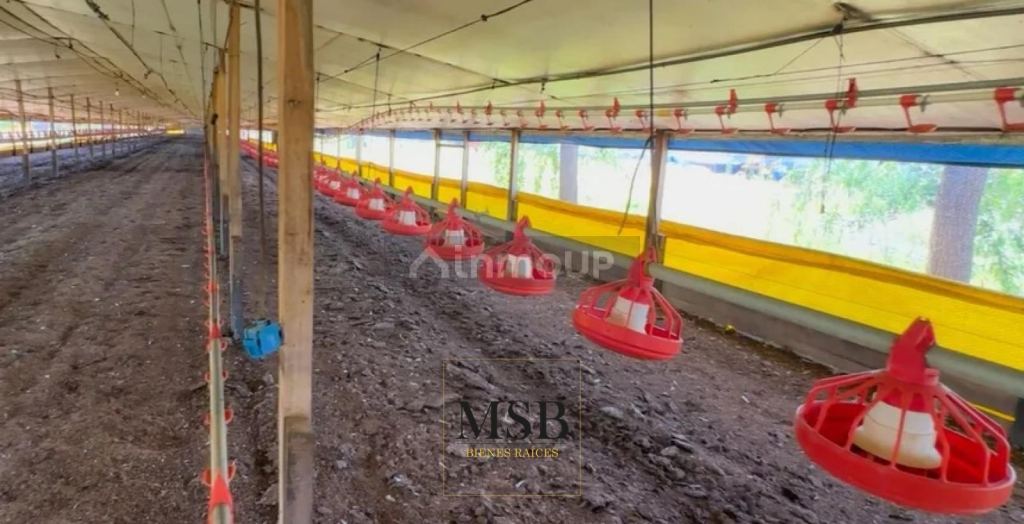 Campo en Venta en 25 de Mayo, Buenos Aires Interior
