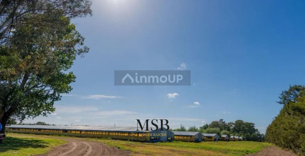 Campo en Venta en 25 de Mayo, Buenos Aires Interior