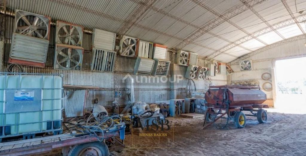Campo en Venta en 25 de Mayo, Buenos Aires Interior