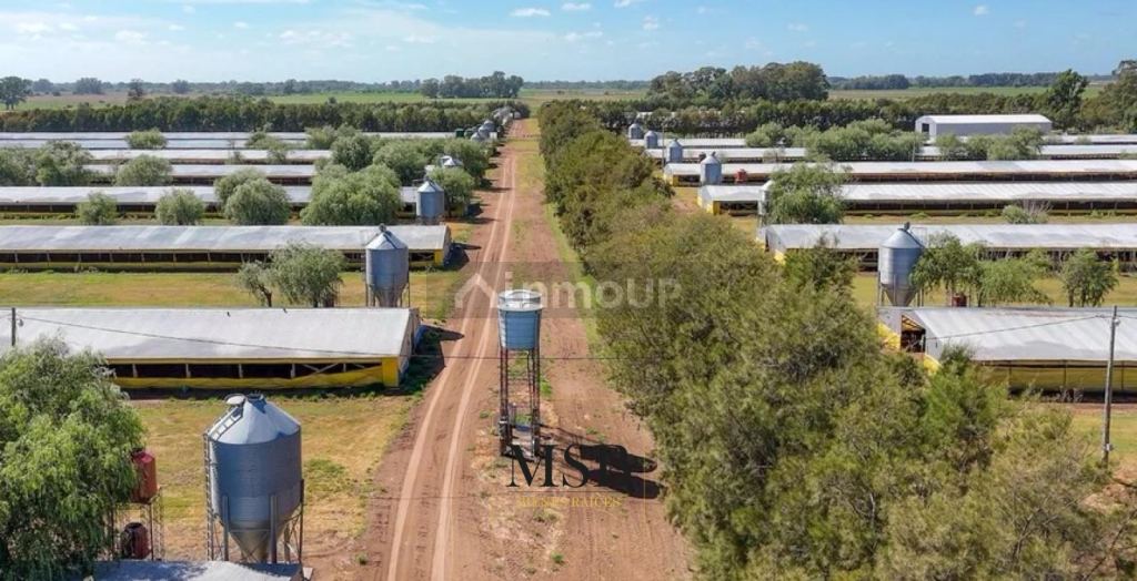 Campo en Venta en 25 de Mayo, Buenos Aires Interior