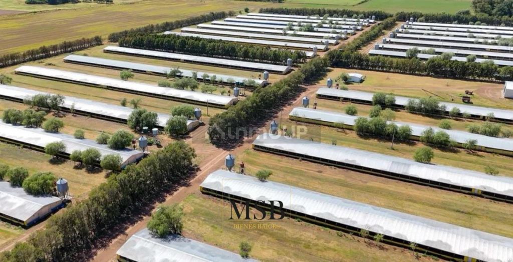 Campo en Venta en 25 de Mayo, Buenos Aires Interior