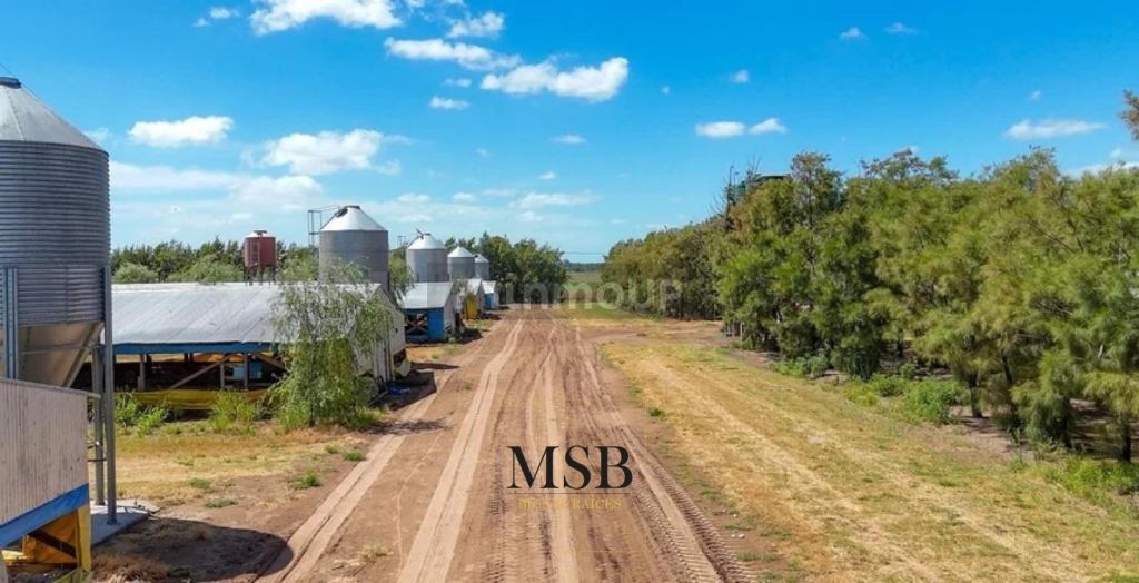 Campo en Venta en 25 de Mayo, Buenos Aires Interior