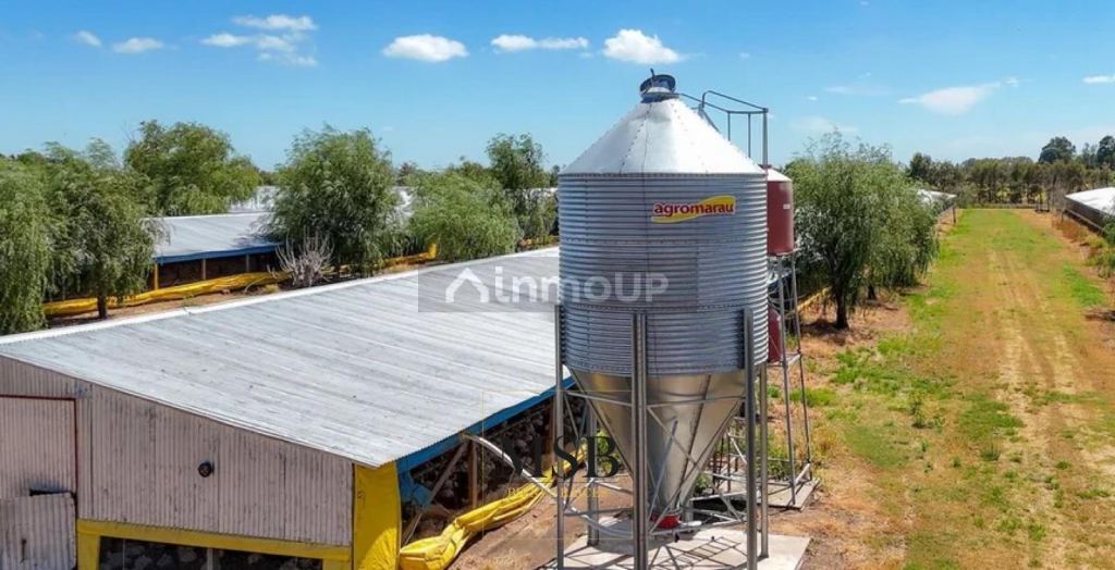 Campo en Venta en 25 de Mayo, Buenos Aires Interior
