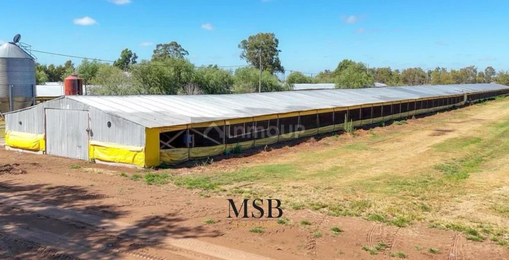 Campo en Venta en 25 de Mayo, Buenos Aires Interior