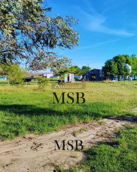 Finca en Venta en Gualeguaychu, Entre Rios
