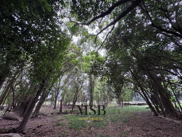 Campo en Venta en La Plata, G.B.A. Zona Sur
