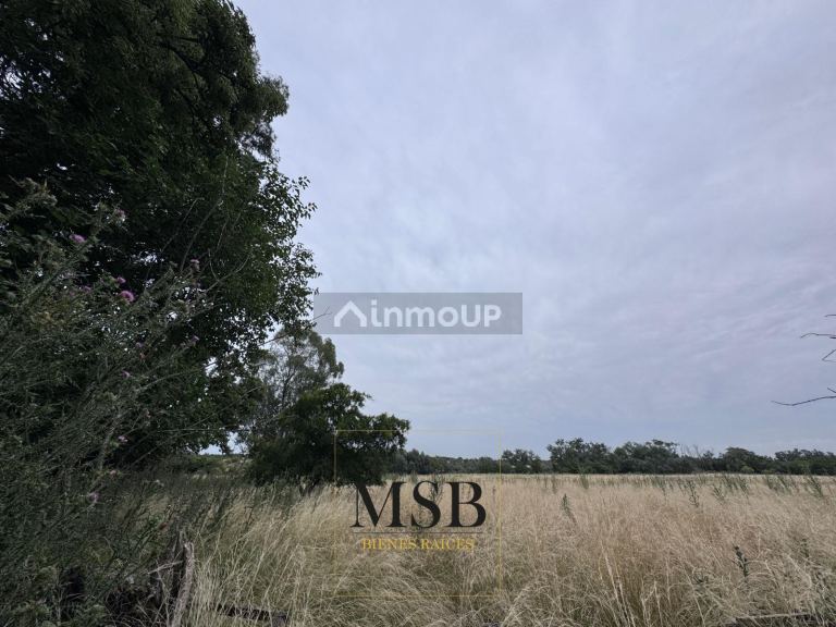 Campo en Venta en La Plata, G.B.A. Zona Sur