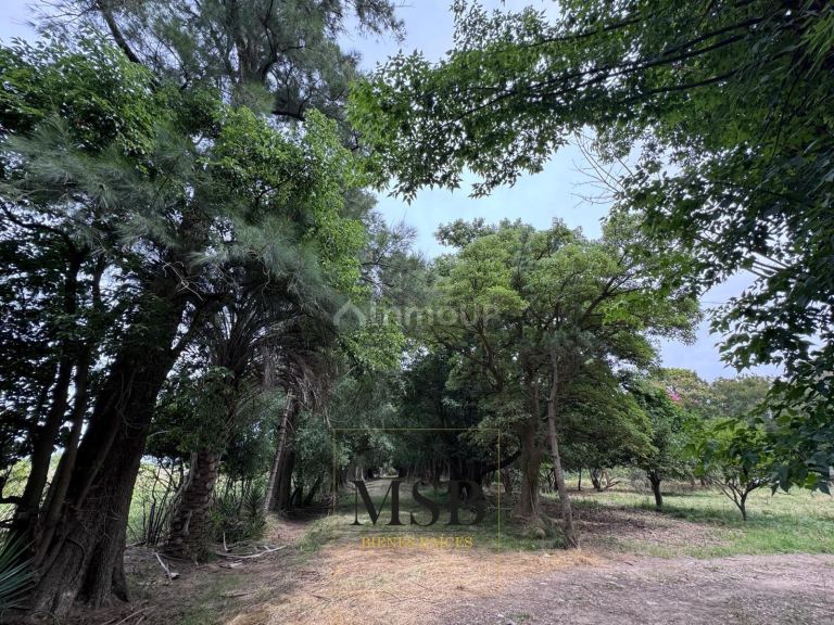 Campo en Venta en La Plata, G.B.A. Zona Sur
