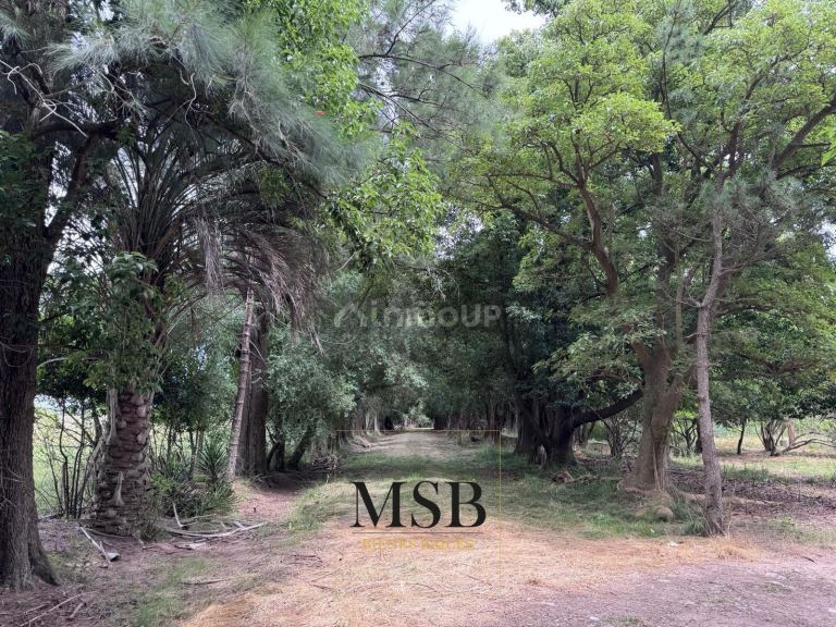 Campo en Venta en La Plata, G.B.A. Zona Sur