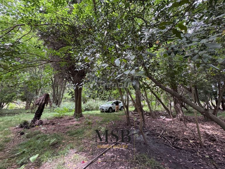 Campo en Venta en La Plata, G.B.A. Zona Sur