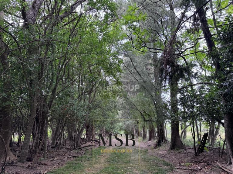 Campo en Venta en La Plata, G.B.A. Zona Sur