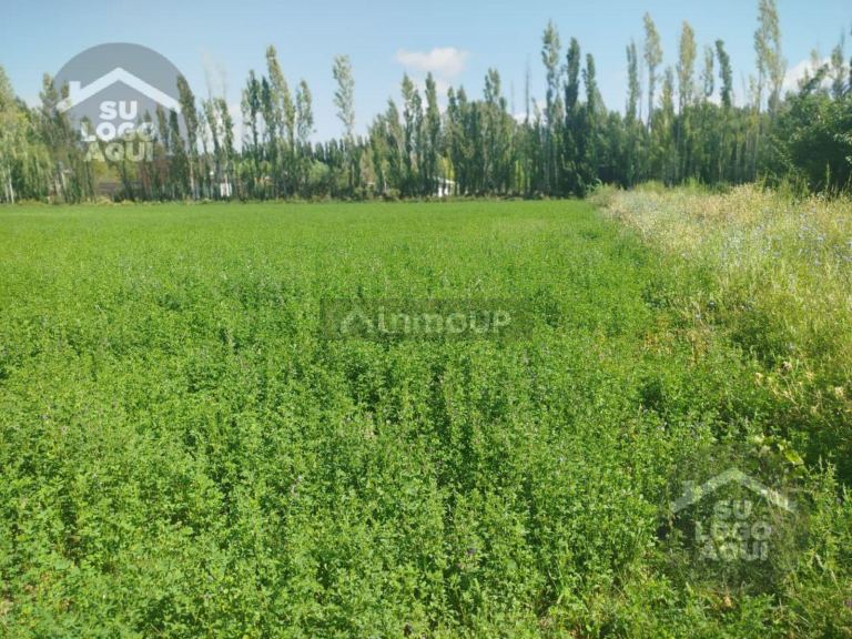 Terreno en Venta en Confluencia, Neuquen