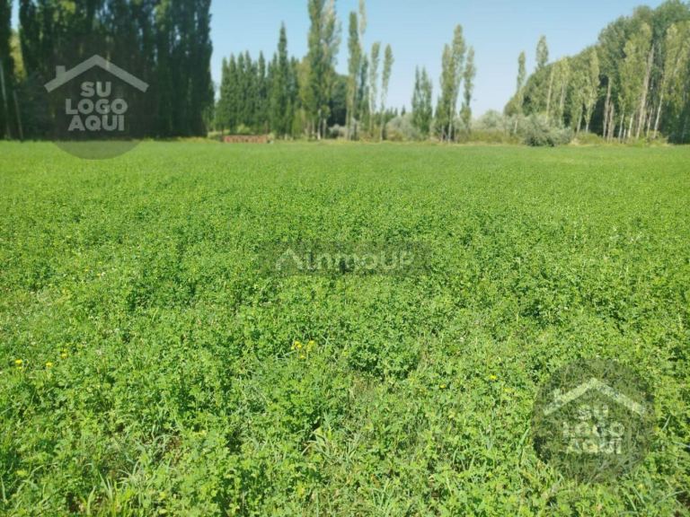 Terreno en Venta en Confluencia, Neuquen